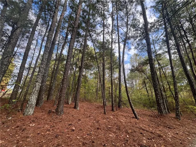 a backyard of a house with lots of trees