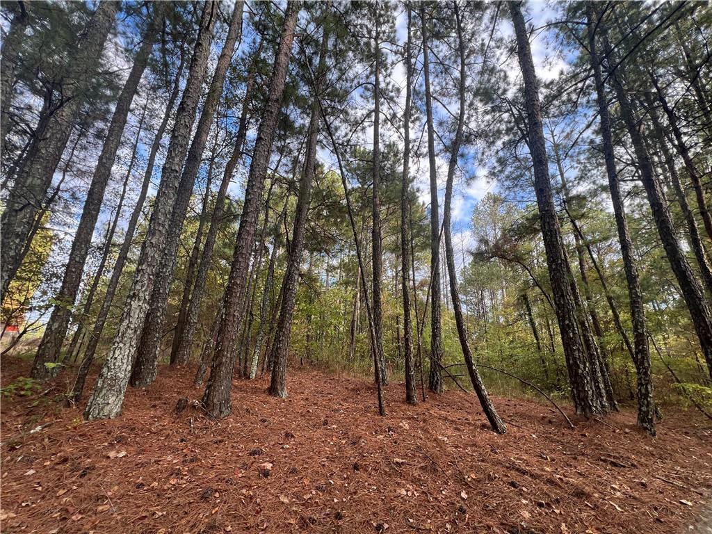 100 Valley View Drive Northwest Cartersville, GA 30121 - Photo 4 of 12 a backyard of a house with lots of trees