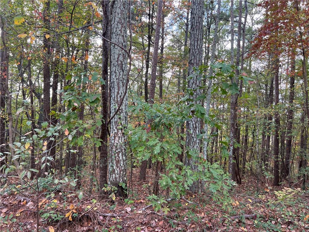 100 Valley View Drive Northwest Cartersville, GA 30121 - Photo 5 of 12 a backyard of a house with lots of plants and trees