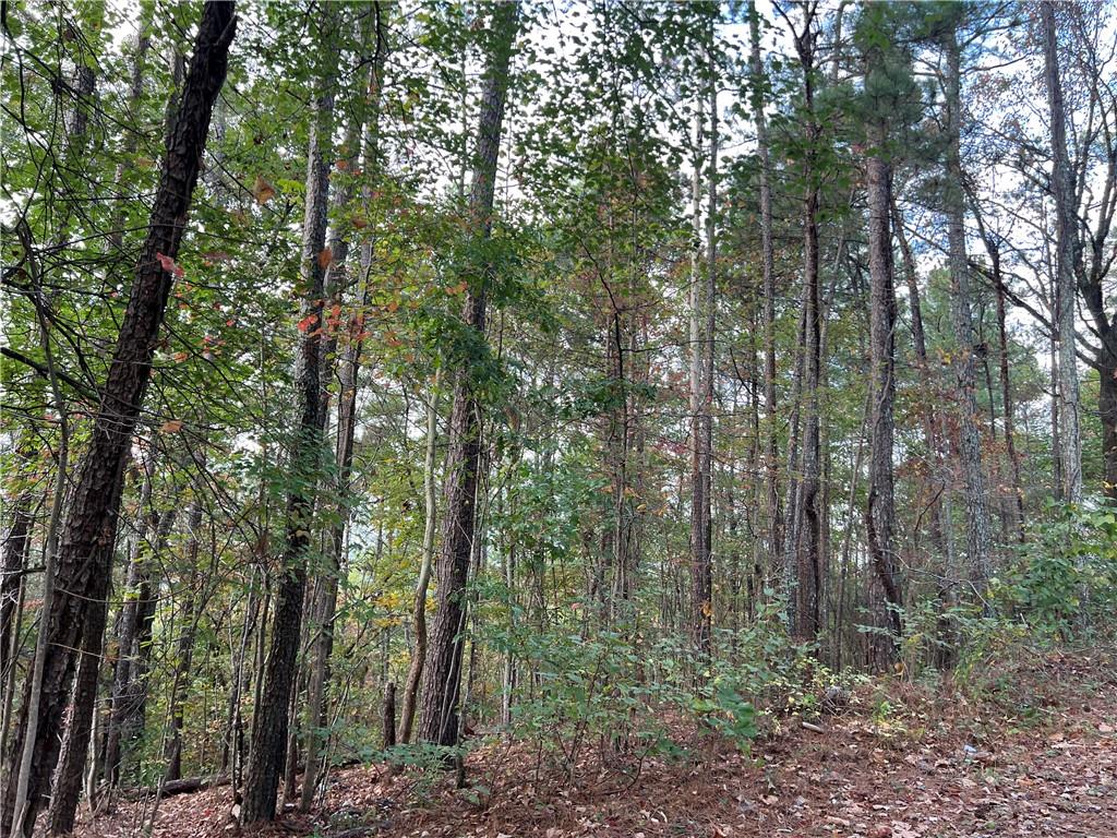 100 Valley View Drive Northwest Cartersville, GA 30121 - Photo 7 of 12 a view of forest