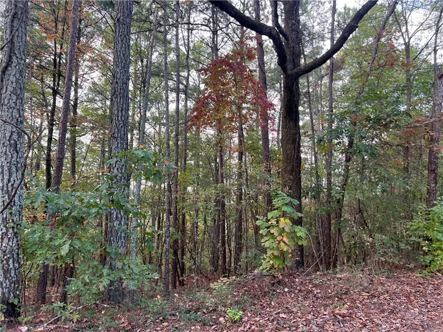 a view of outdoor space and trees