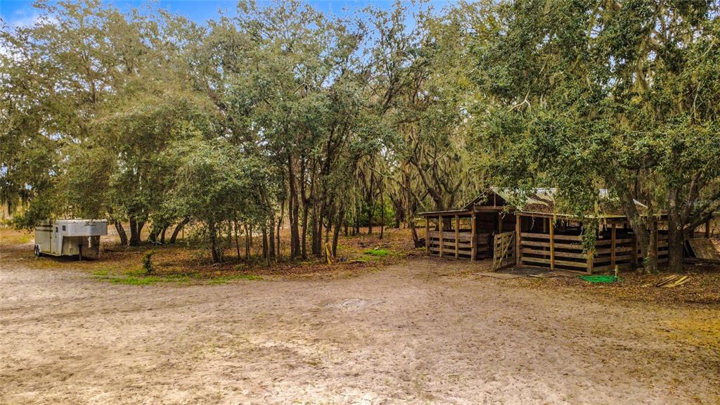 3230 Empire Church Road Groveland, FL 34736 - Photo 16 of 29 a view of a yard with an outdoor and trees