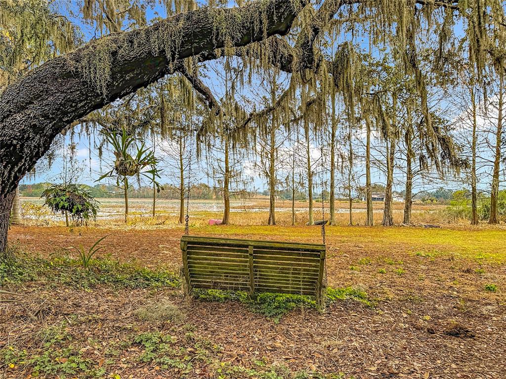 3230 Empire Church Road Groveland, FL 34736 - Photo 25 of 29 a view of an outdoor space
