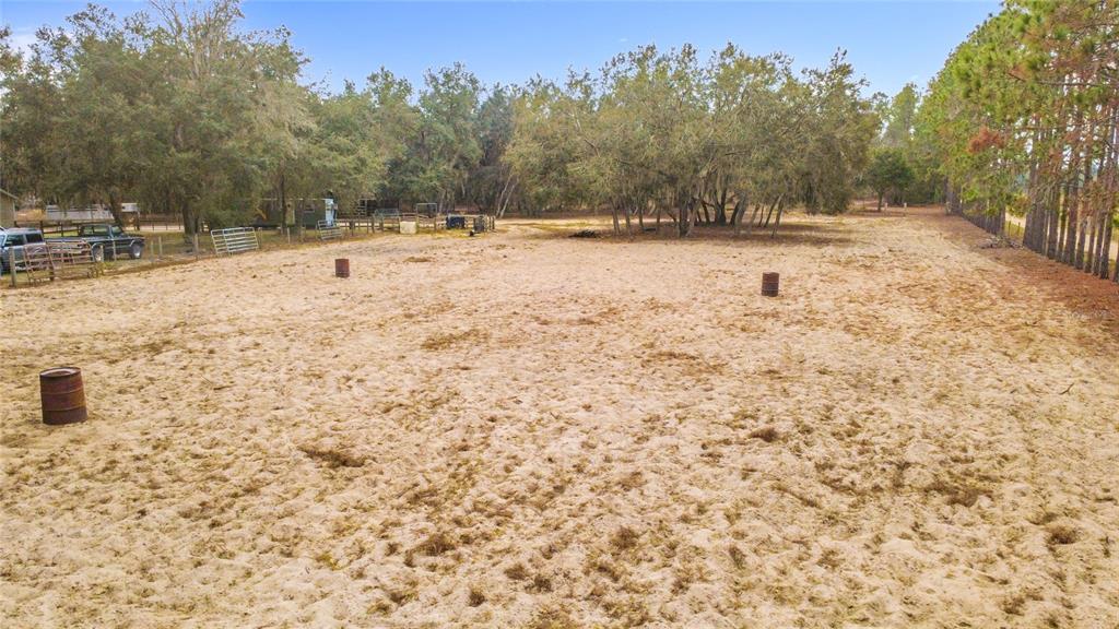 3230 Empire Church Road Groveland, FL 34736 - Photo 27 of 29 a view of a yard with trees