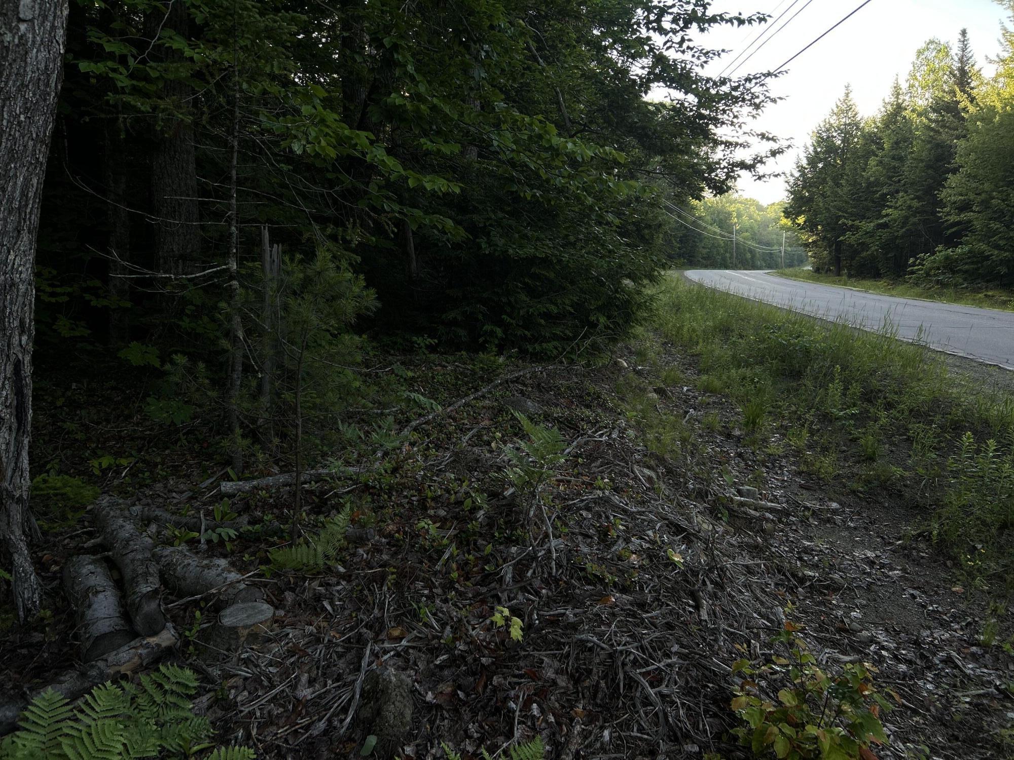 24a Anson Valley Road New Vineyard, ME 04956 - Photo 21 of 93 IMG_4932