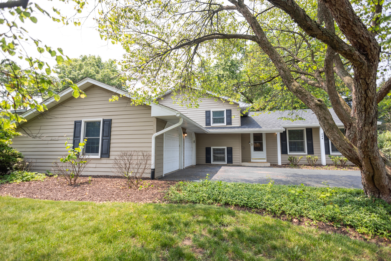 N244 Peter Road Winfield, IL 60190 - Photo 2 of 20 a front view of a house with a yard and trees