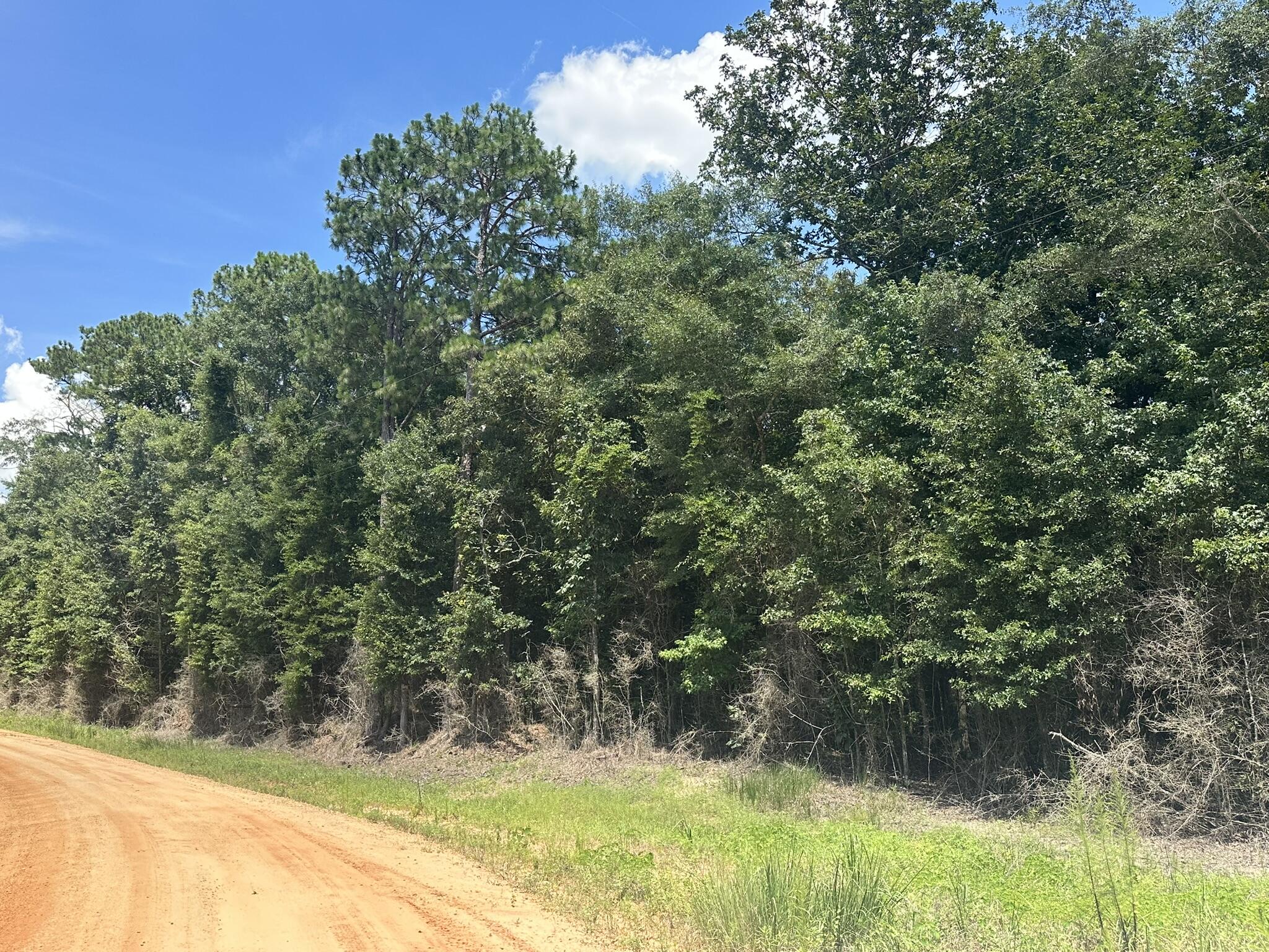 Tbd Piney Grove Road Opp, AL 36467 - Photo 2 of 18 IMG_1017