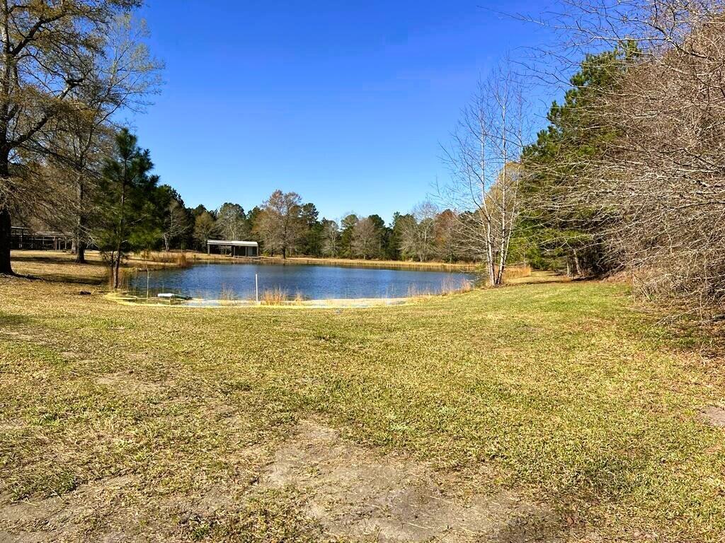1790 Strickland Road Manning, SC 29102 - Photo 38 of 39 Pond from entrance