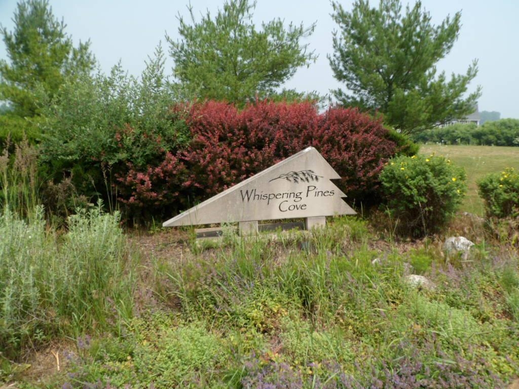 Tbd South Rolland Road, Unit LOT 3 Weidman, MI 48893 - Photo 8 of 12