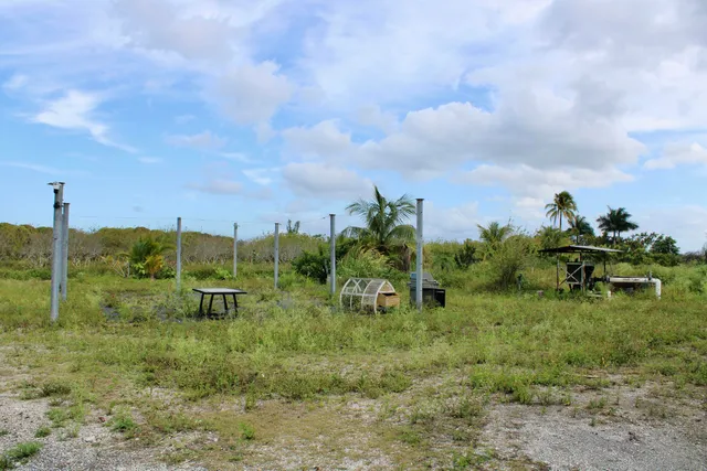 a view of building with outdoor space