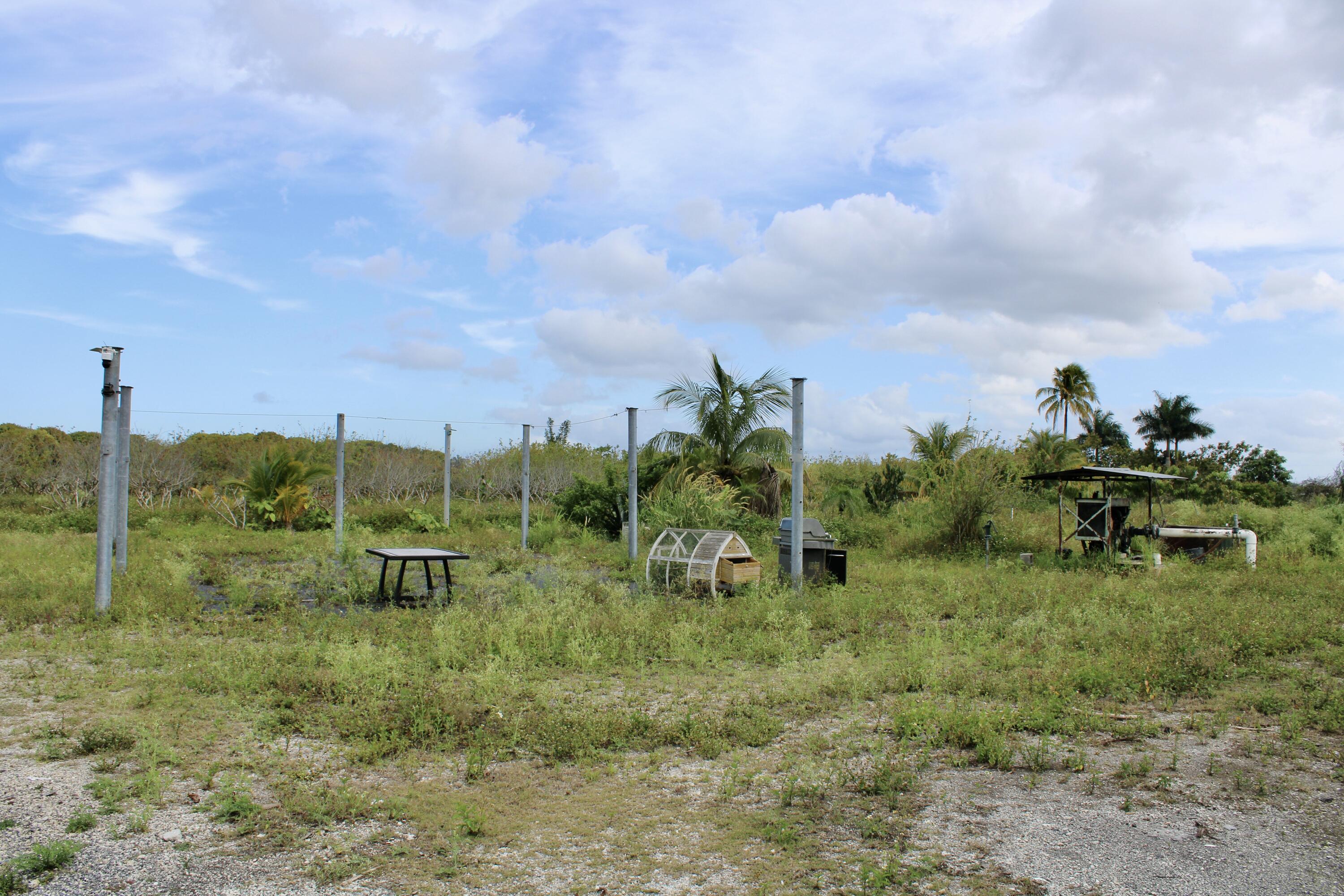 180 Southwest 187th Avenue Miami, FL 33187 - Photo 13 of 27 a view of a garden