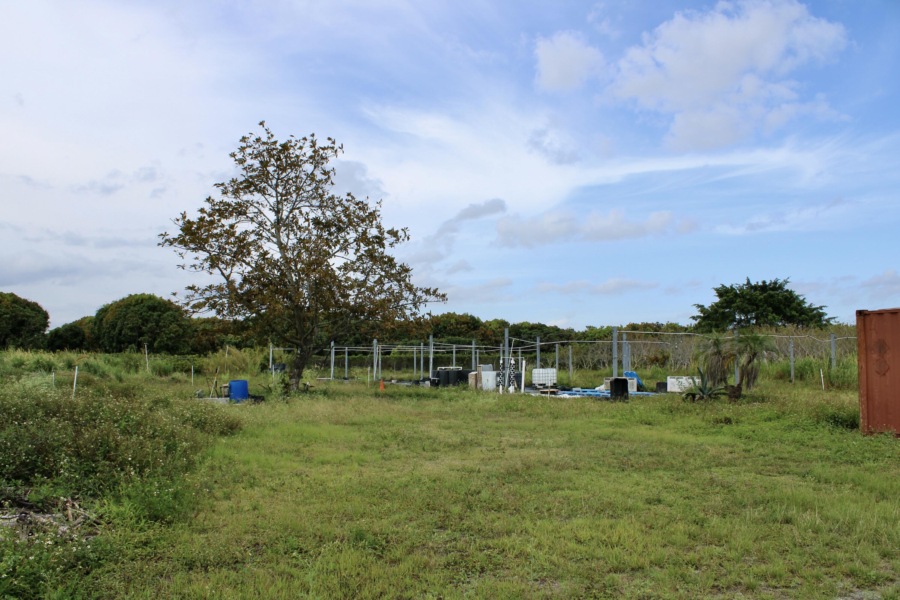 180 Southwest 187th Avenue Miami, FL 33187 - Photo 15 of 27 a view of building with outdoor space