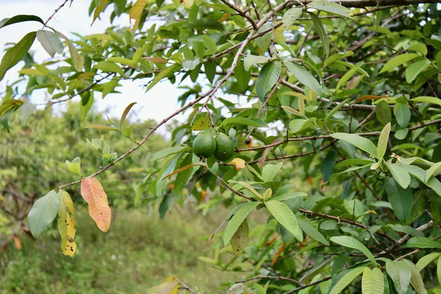 a view of building with outdoor space