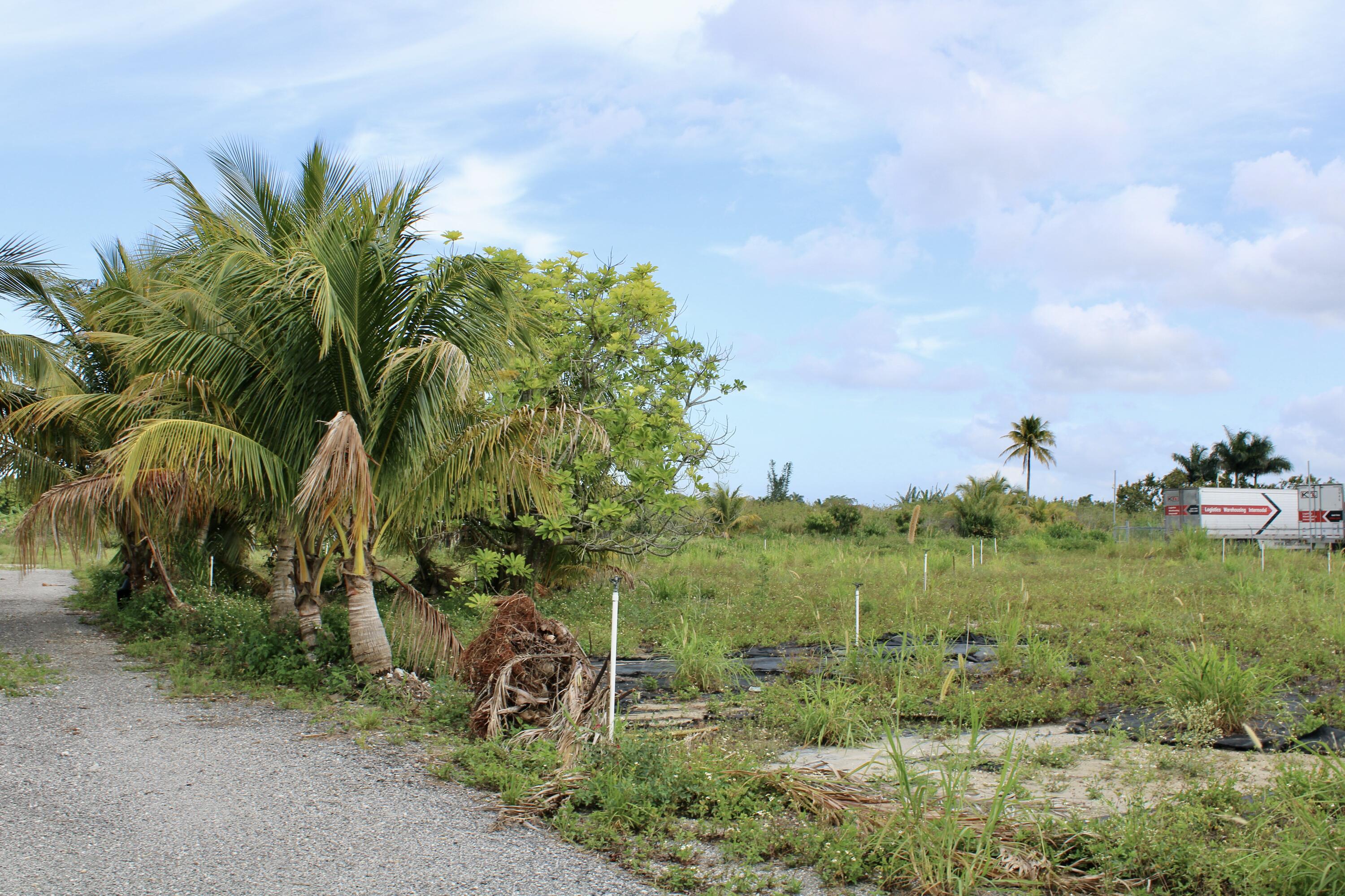 180 Southwest 187th Avenue Miami, FL 33187 - Photo 10 of 27 a view of a garden