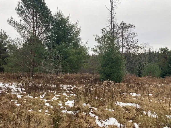 $225,000 | 8 Rt, Ohio, NY 13324