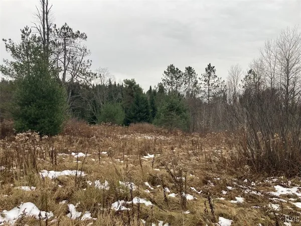 $225,000 | 8 Rt, Ohio, NY 13324