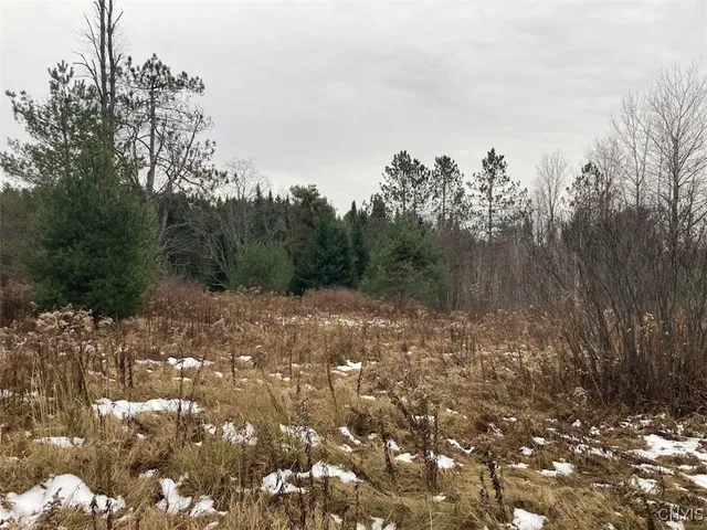 $225,000 | 8 Rt, Ohio, NY 13324