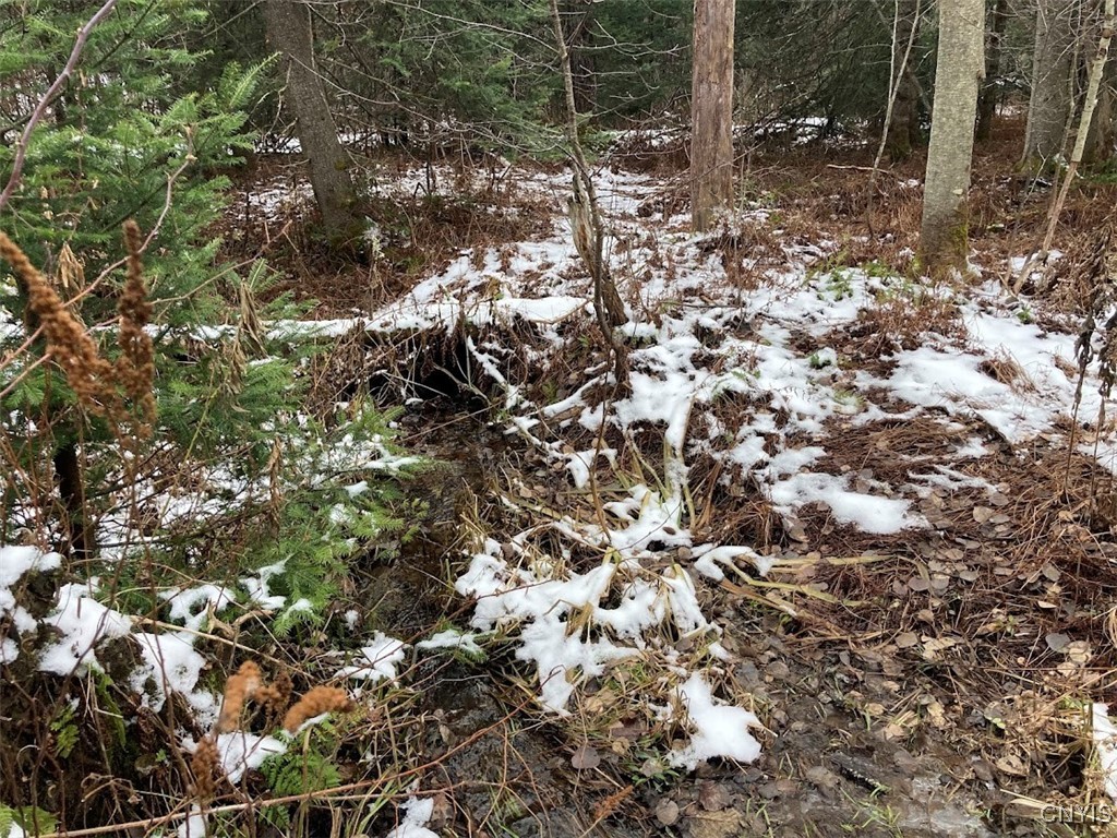 8 Rt Ohio, NY 13324 - Photo 4 of 8