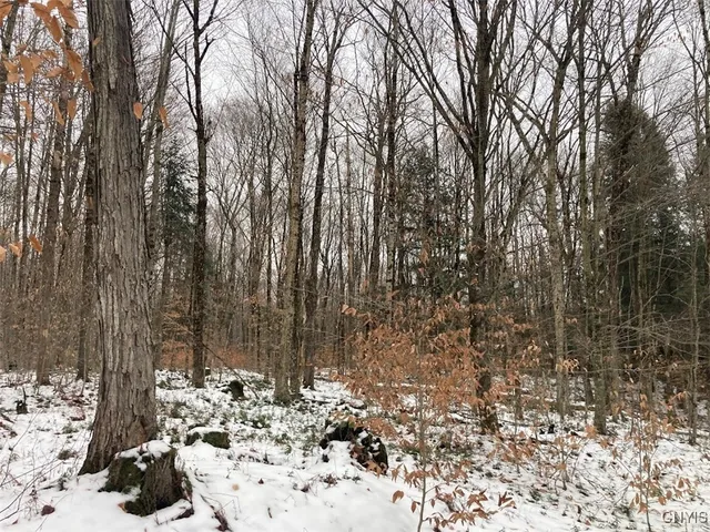 $225,000 | 8 Rt, Ohio, NY 13324