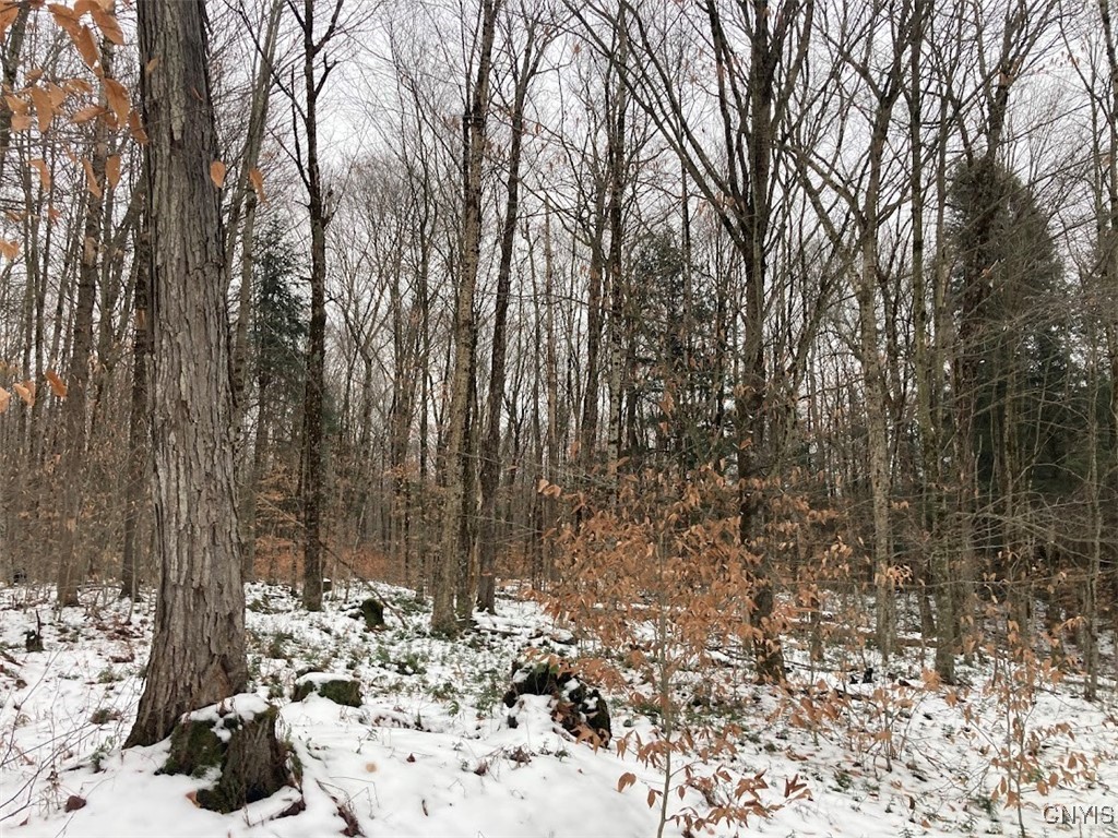 8 Rt Ohio, NY 13324 - Photo 5 of 8