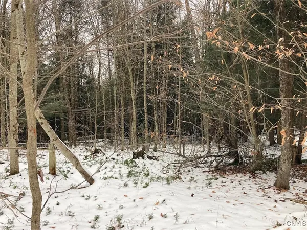 $225,000 | 8 Rt, Ohio, NY 13324