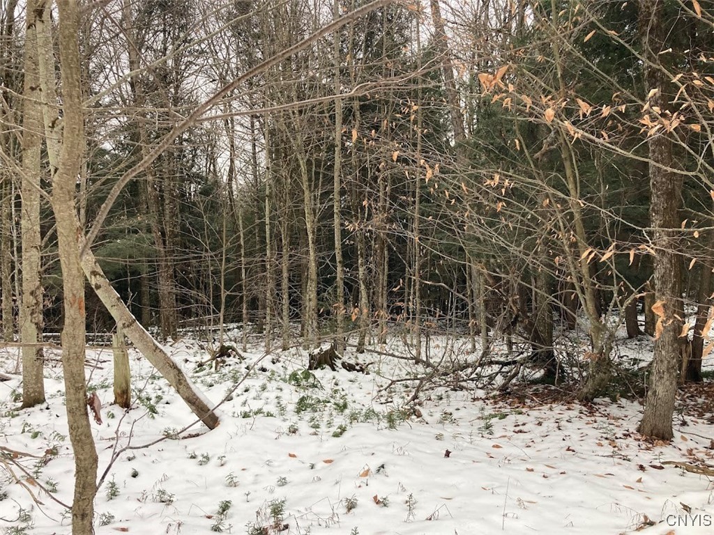 8 Rt Ohio, NY 13324 - Photo 6 of 8