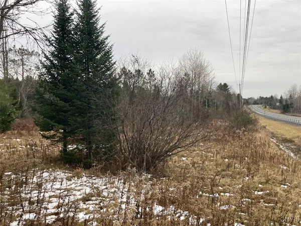 $225,000 | 8 Rt, Ohio, NY 13324