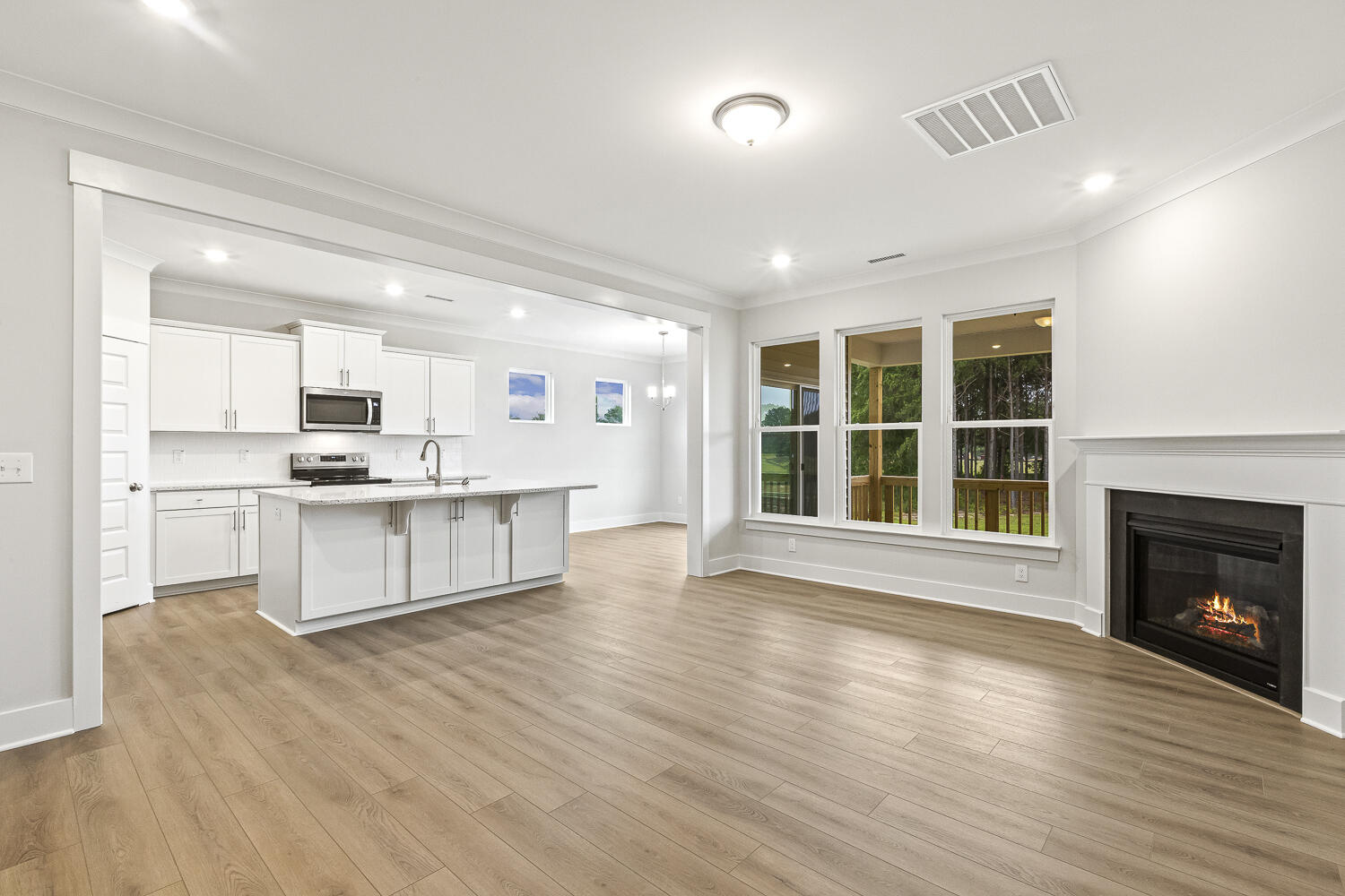 429 True Cedar Way Aiken, SC 29803 - Photo 20 of 43 Stock photo living room