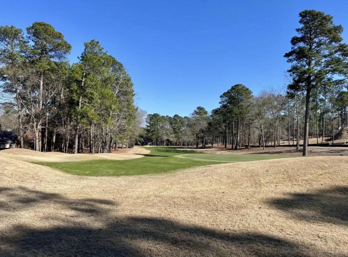 429 True Cedar Way Aiken, SC 29803 - Photo 9 of 43 Golf course from walkway