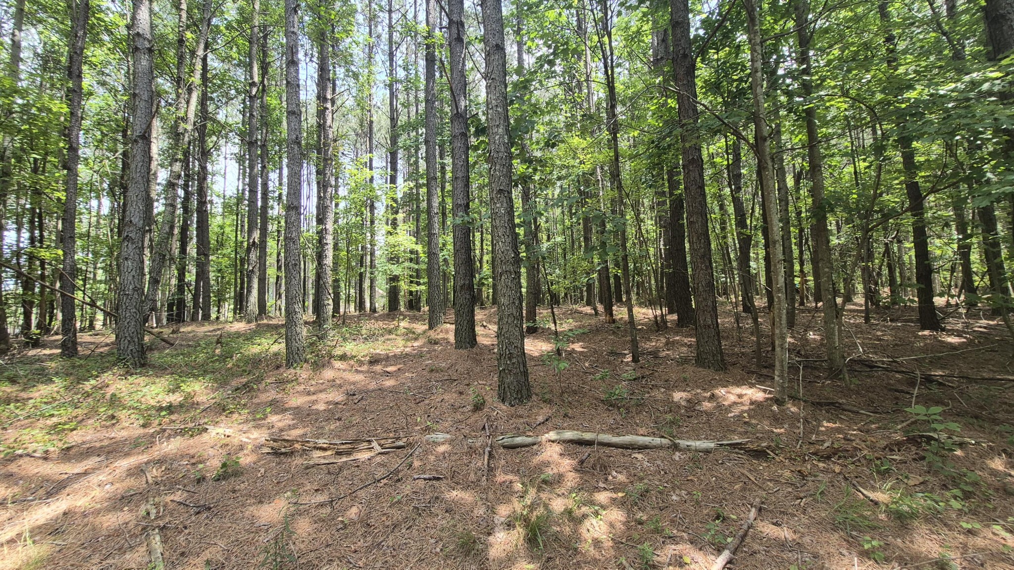 4560 Raulston Falls Drive Jasper, TN 37347 - Photo 15 of 49