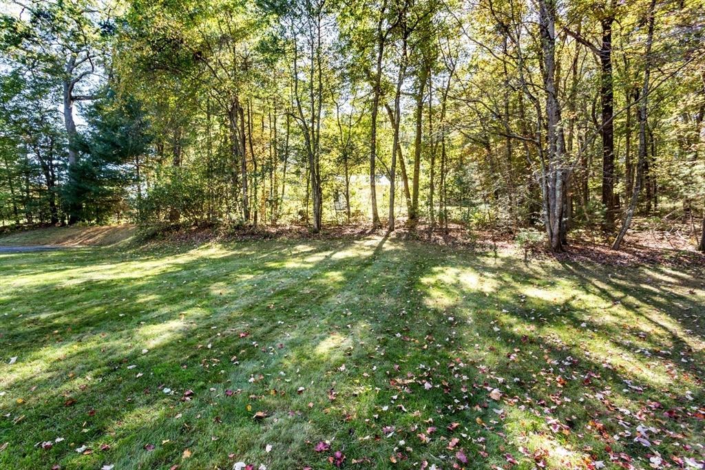 8 Bubbling Brook Road Franklin, MA 02038 - Photo 38 of 46 a view of yard with trees