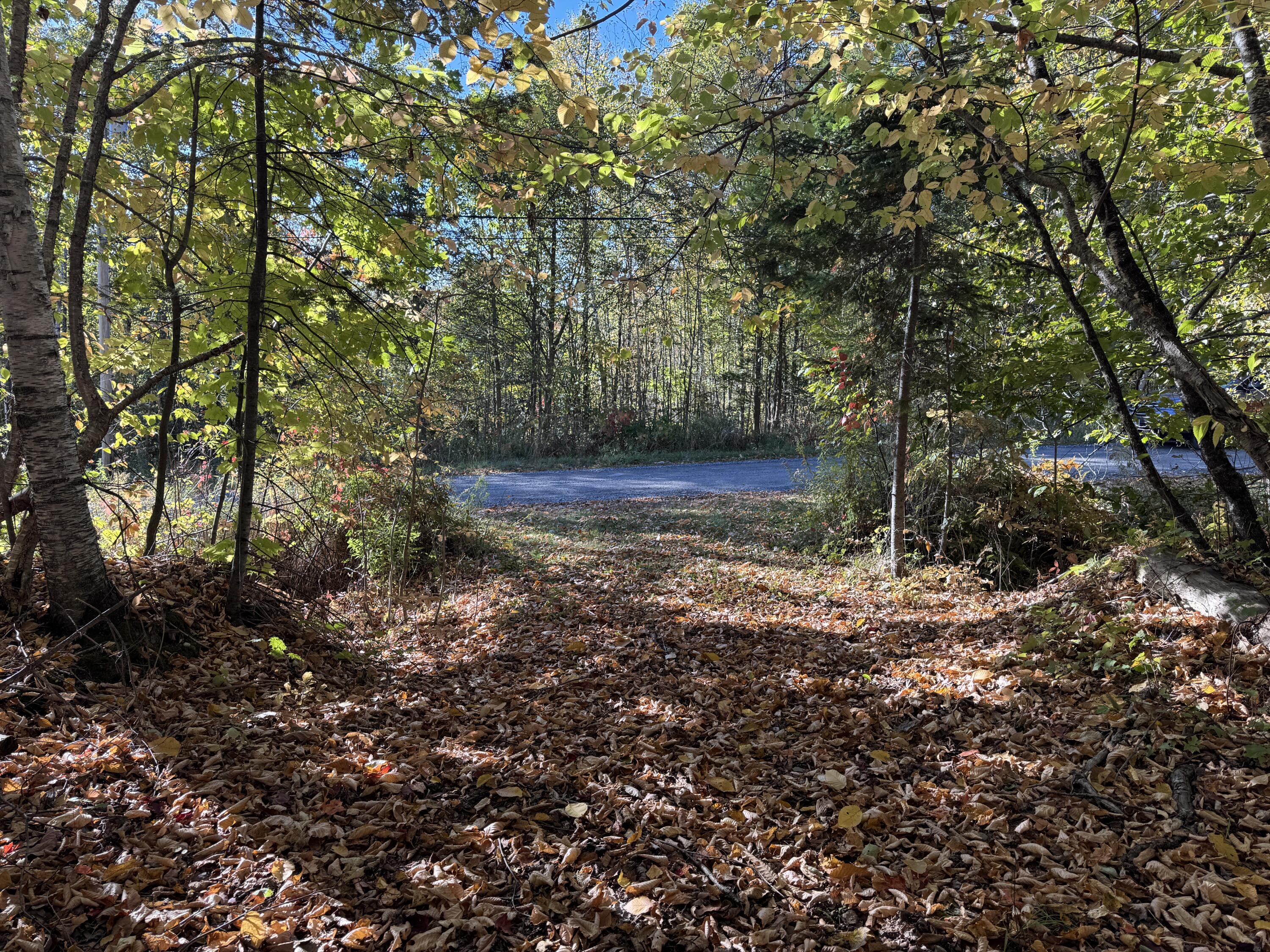 0 Ross Hill Road St. Albans, ME 04971 - Photo 7 of 9