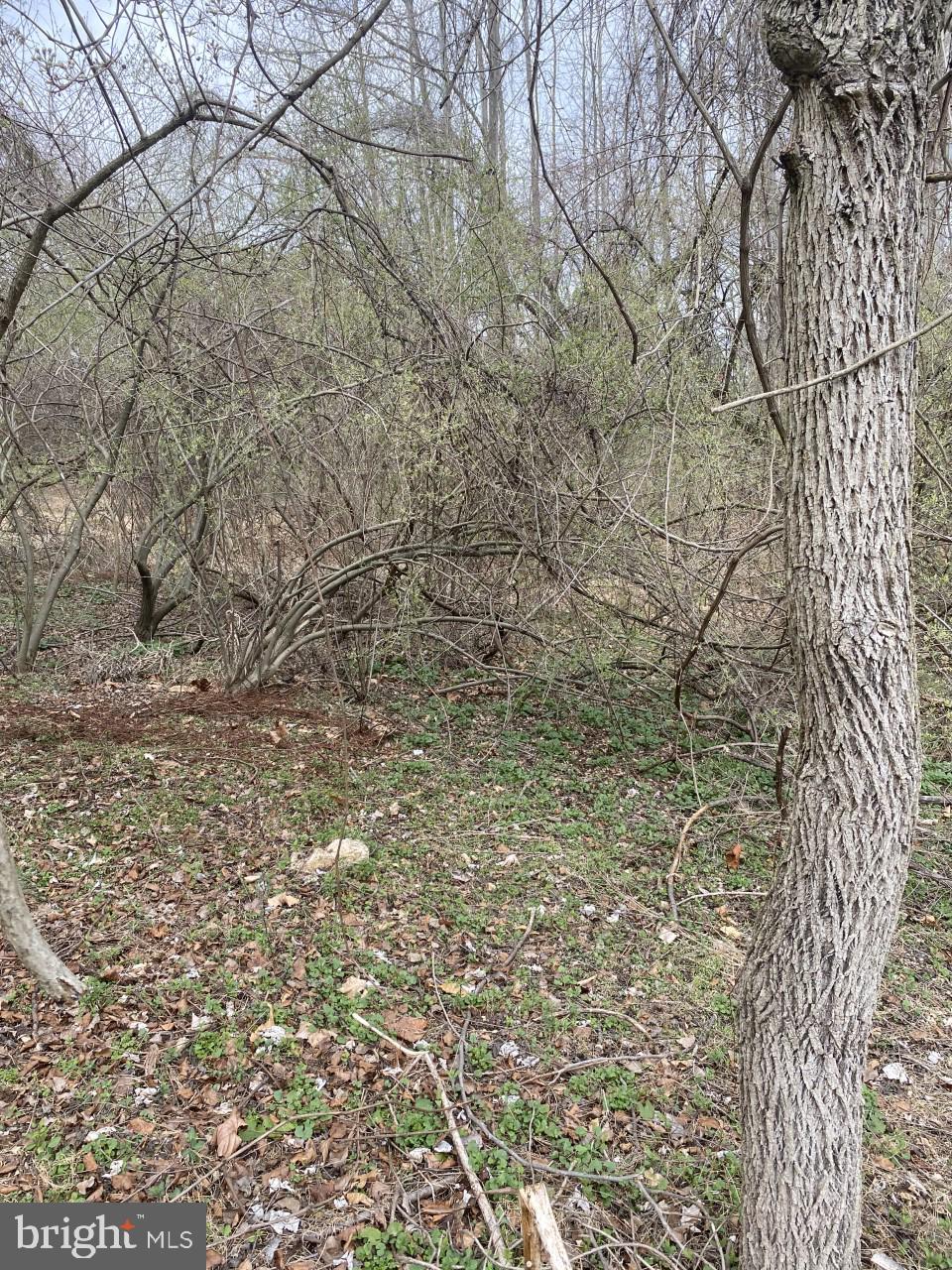 2772 Old Kays Mill Road Finksburg, MD 21048 - Photo 3 of 3