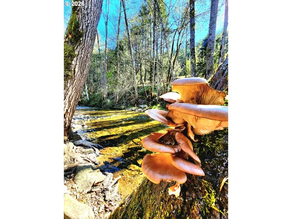 $315,000 | 874 South Main Street, Canyonville, OR 97417