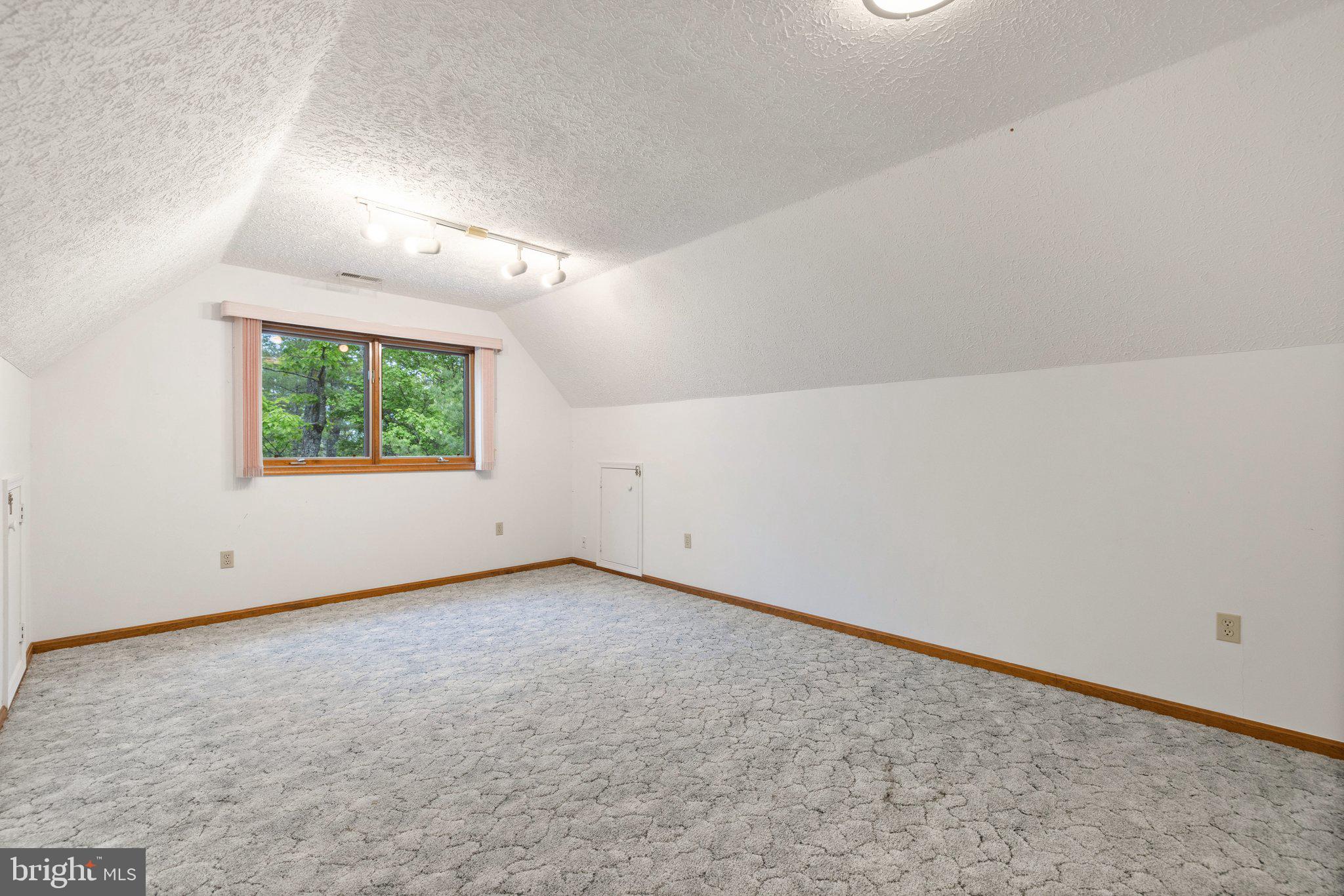 155 Connie Road Basye, VA 22810 - Photo 41 of 76