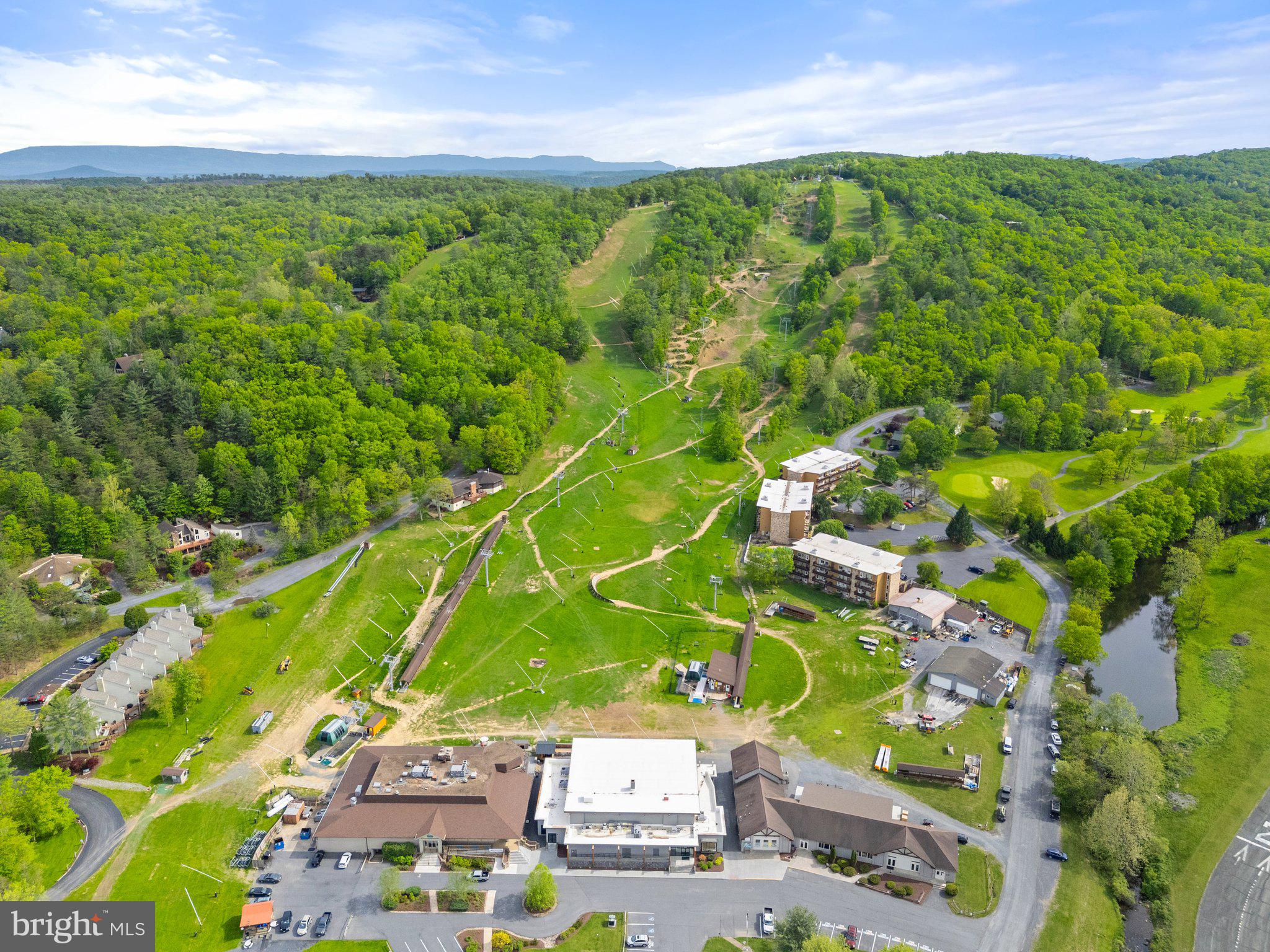 155 Connie Road Basye, VA 22810 - Photo 56 of 76 a view of a yard with an outdoor space