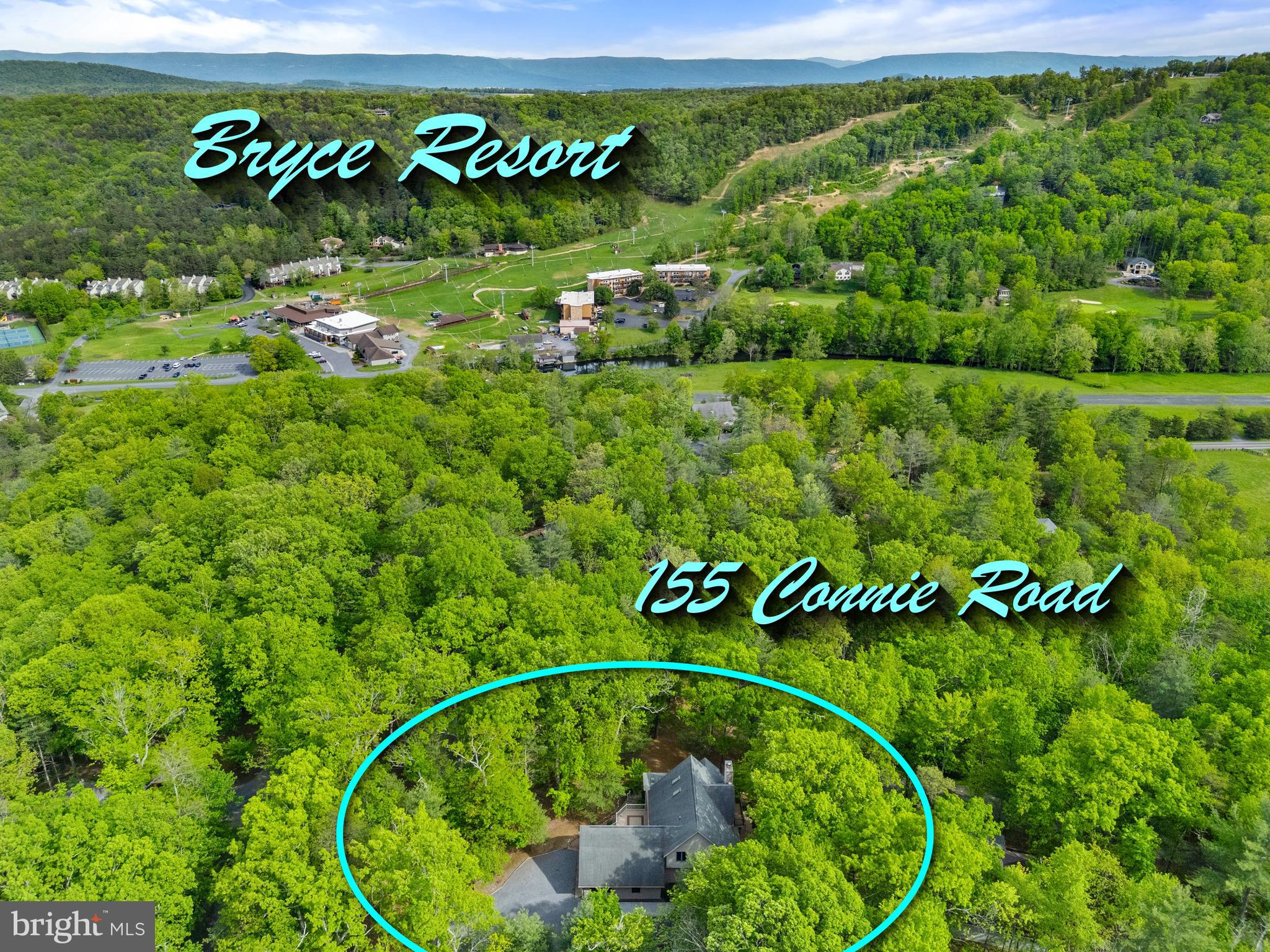 155 Connie Road Basye, VA 22810 - Photo 6 of 76 a view of a sign in a garden