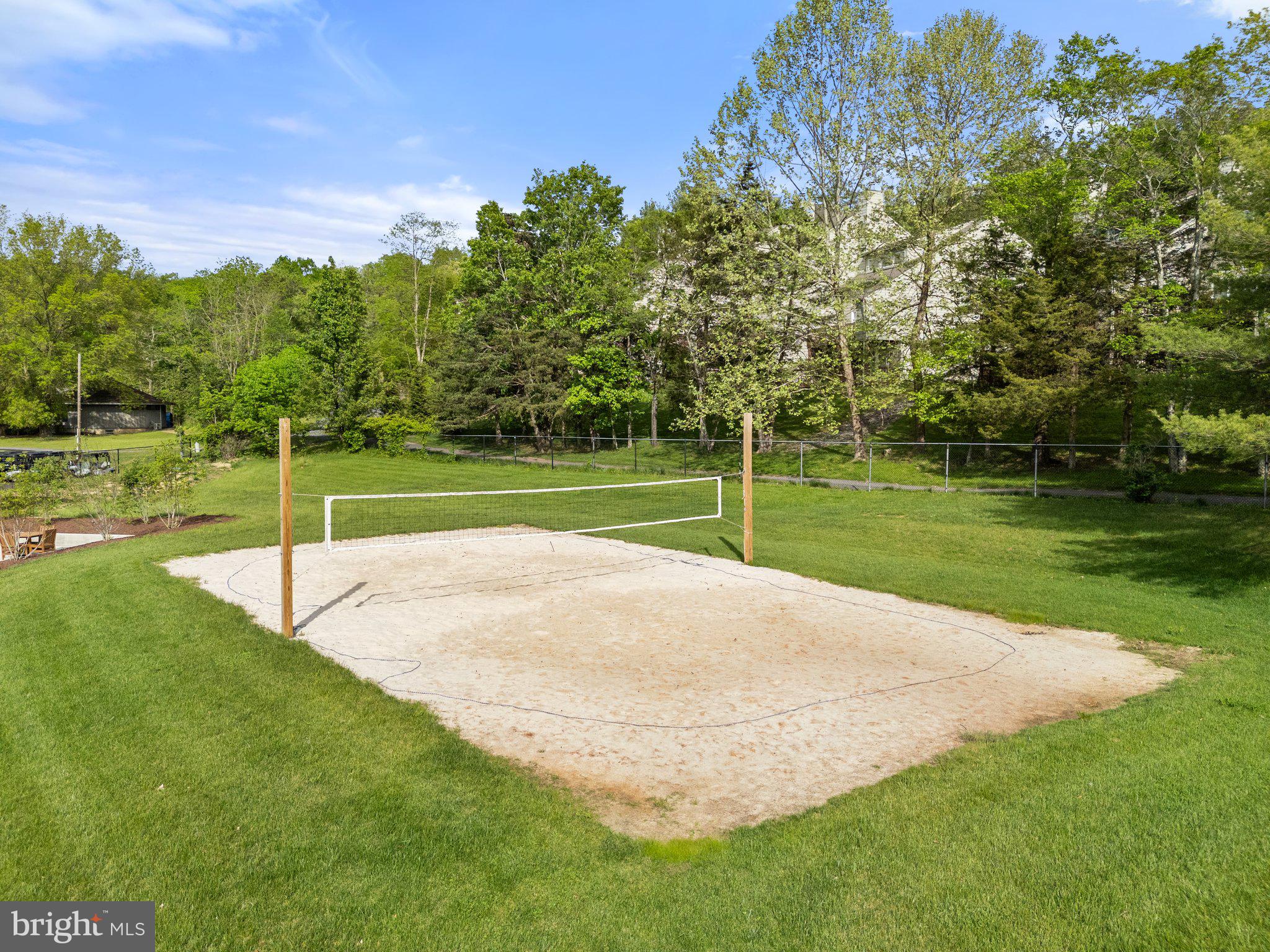 155 Connie Road Basye, VA 22810 - Photo 64 of 76 a view of a park with large trees