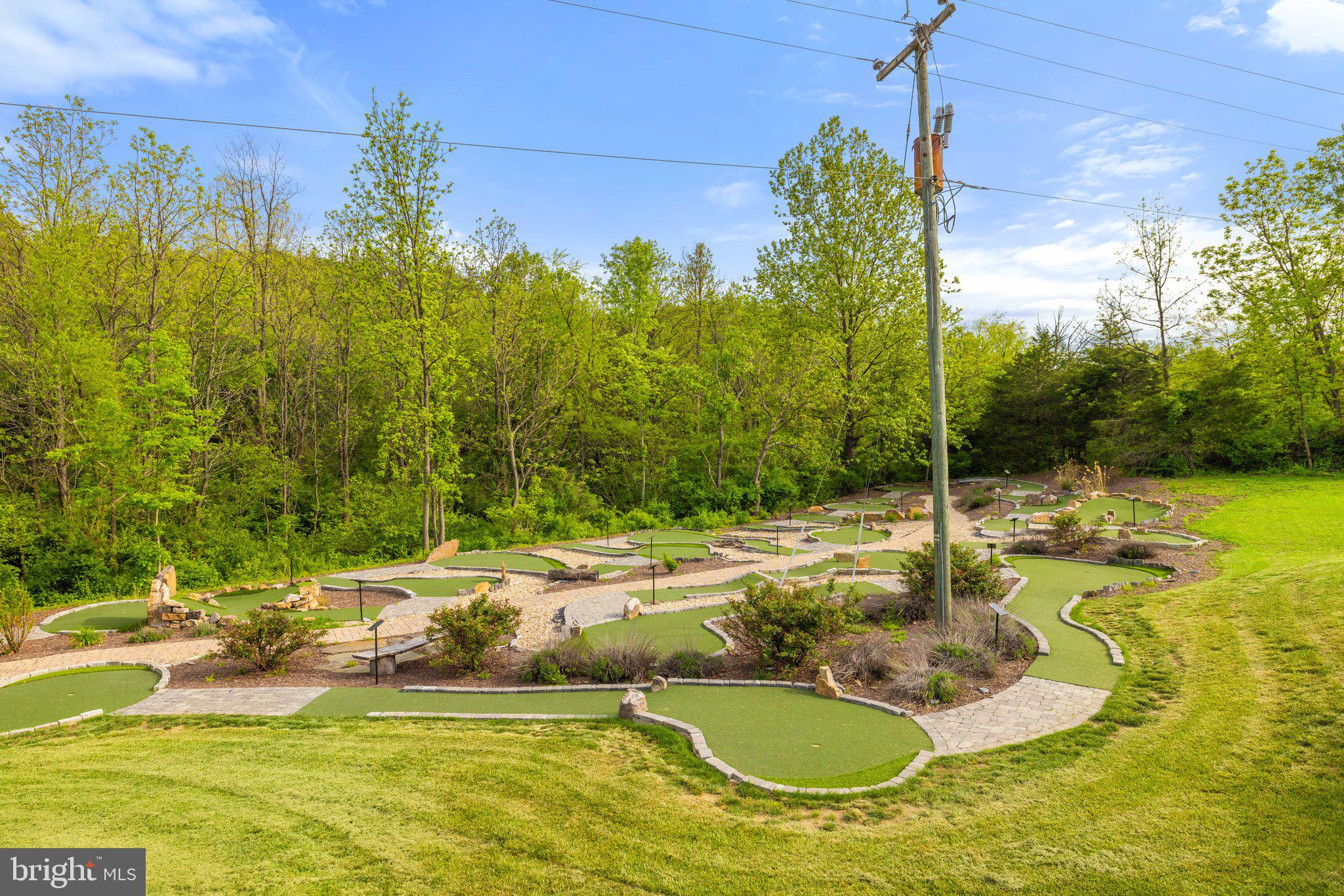 155 Connie Road Basye, VA 22810 - Photo 65 of 76 a view of a swimming pool with a yard