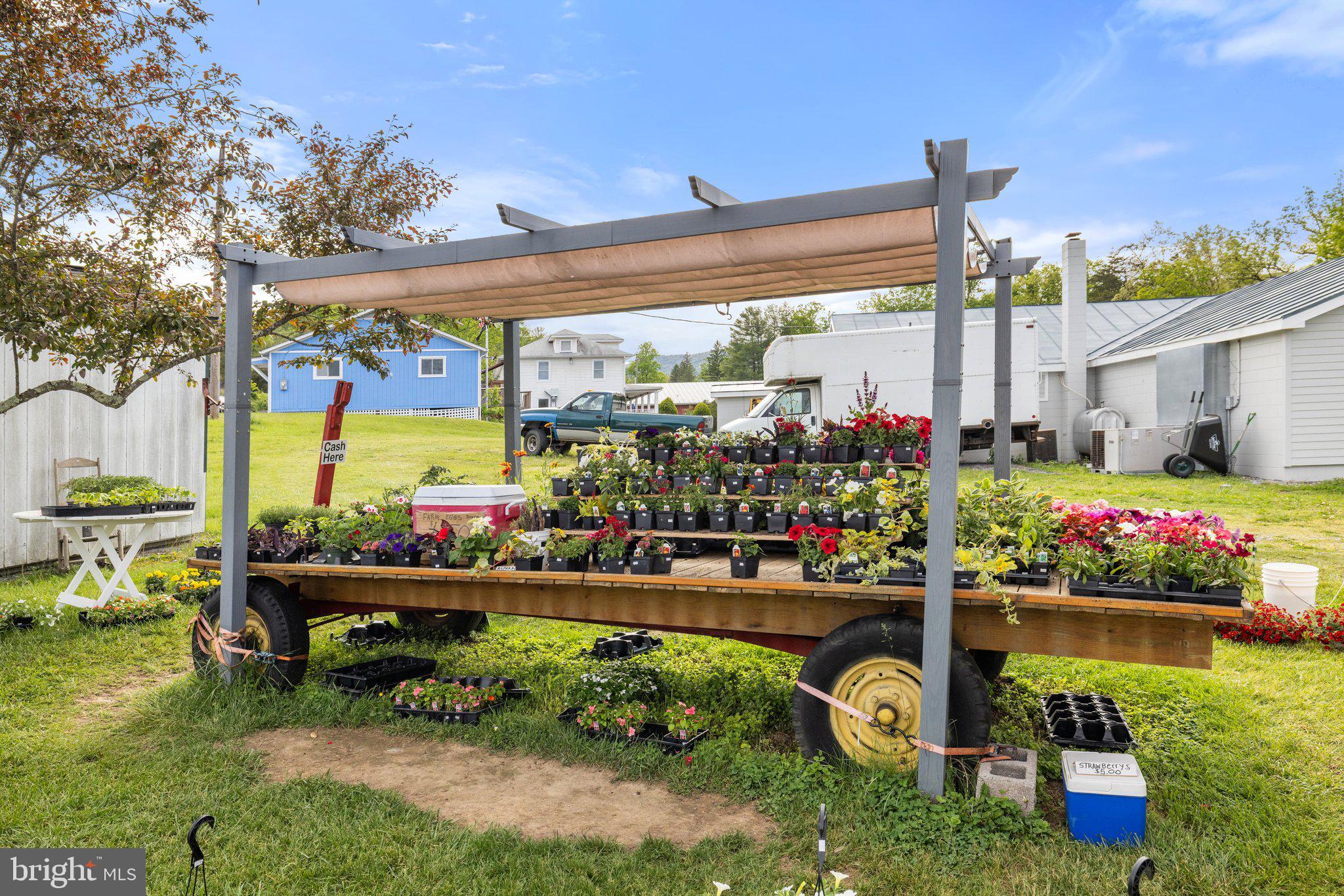 155 Connie Road Basye, VA 22810 - Photo 72 of 76 a view of a chairs and table in a backyard