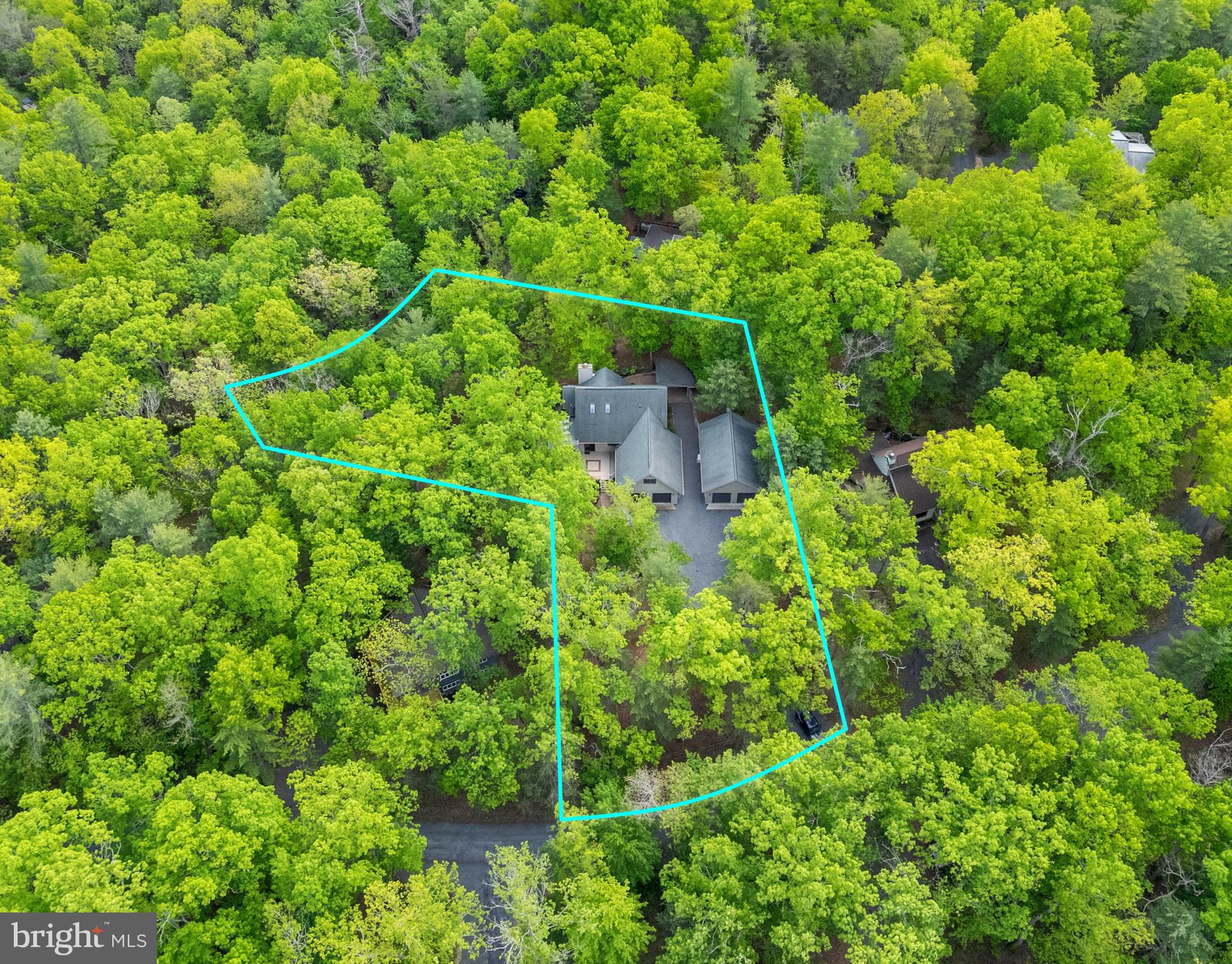 155 Connie Road Basye, VA 22810 - Photo 75 of 76 a backyard of a house with lots of plants and tree