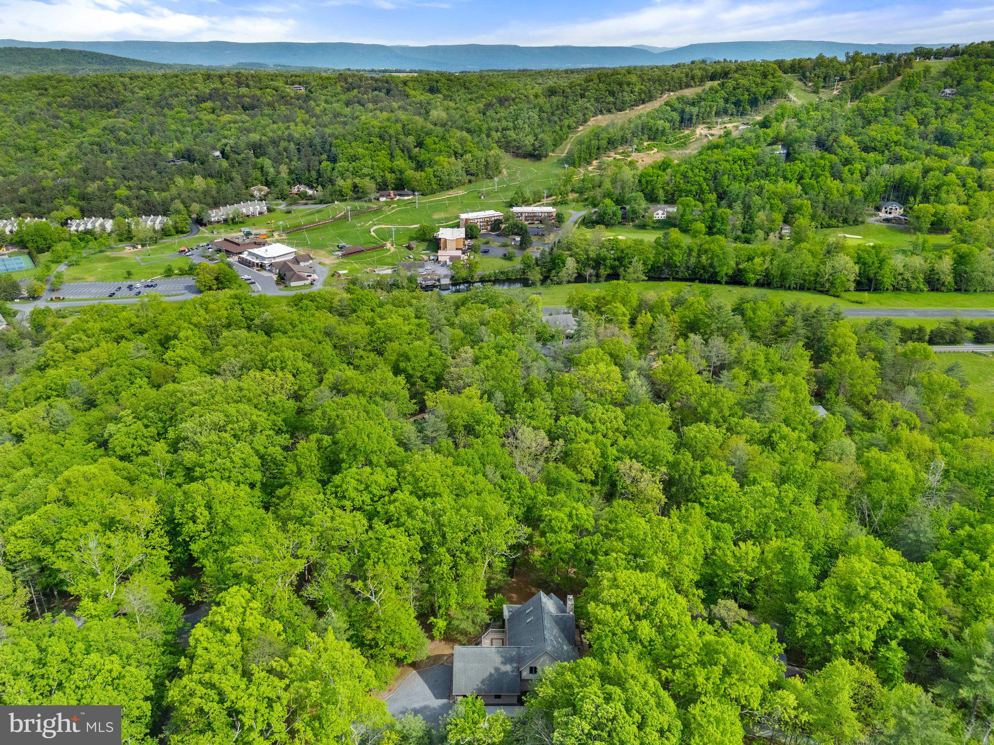 155 Connie Road Basye, VA 22810 - Photo 76 of 76 a view of a garden with a plants and large trees