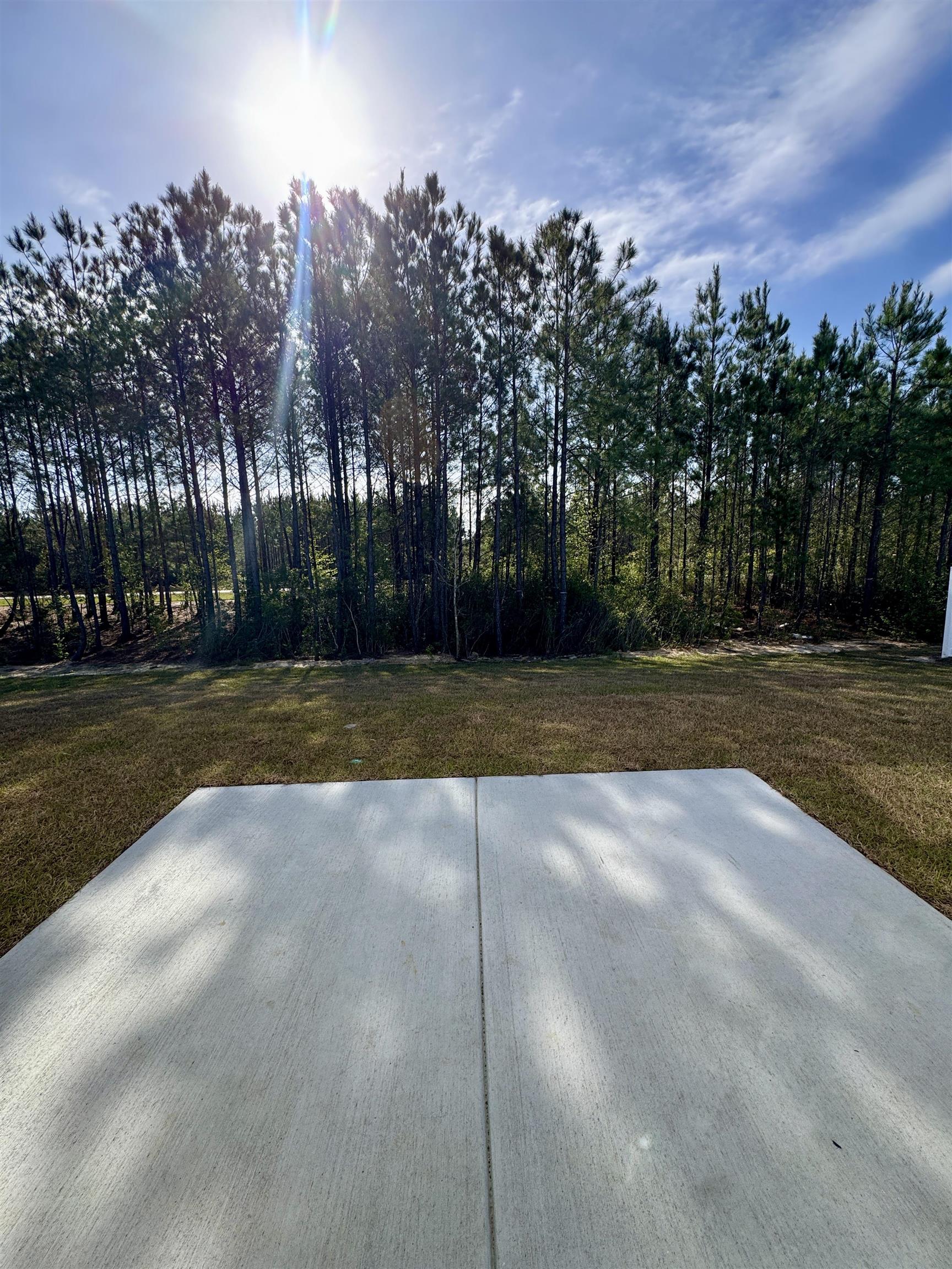 1735 King Oaks Loop Conway, SC 29526 - Photo 25 of 29