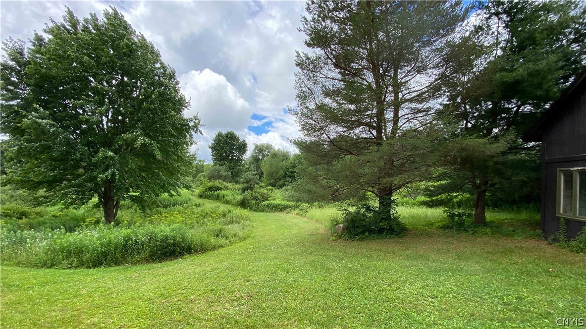10-acres Pompey Center Road Fabius, NY 13063 - Photo 11 of 17