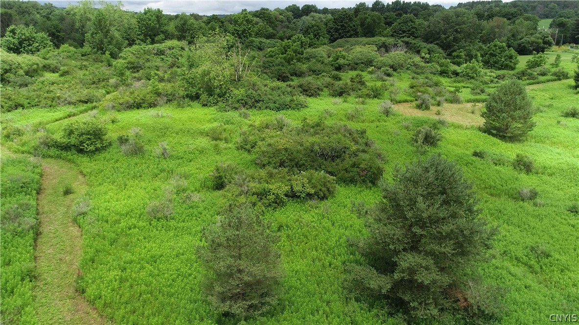 10-acres Pompey Center Road Fabius, NY 13063 - Photo 12 of 17