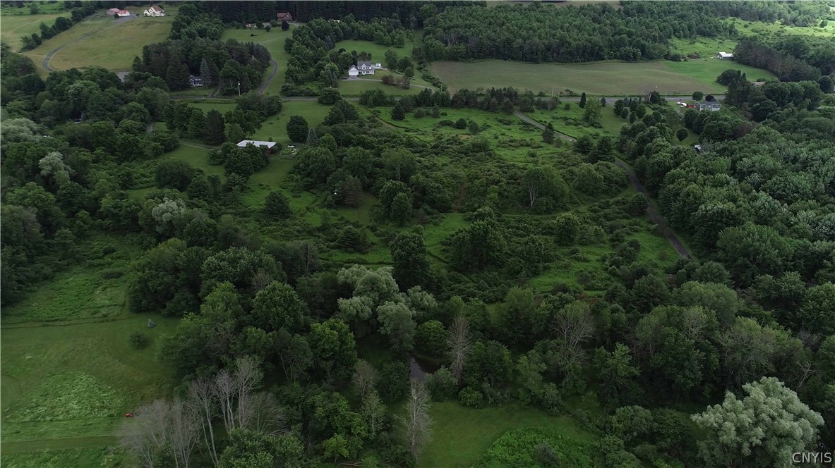 10-acres Pompey Center Road Fabius, NY 13063 - Photo 13 of 17