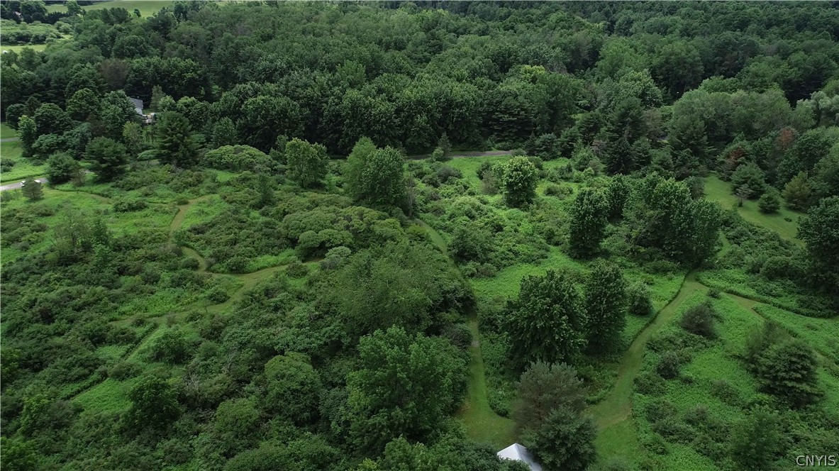 10-acres Pompey Center Road Fabius, NY 13063 - Photo 14 of 17