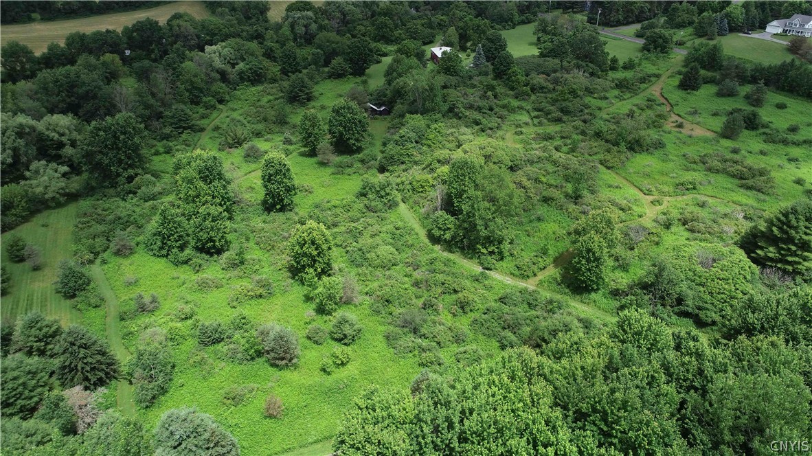 10-acres Pompey Center Road Fabius, NY 13063 - Photo 15 of 17