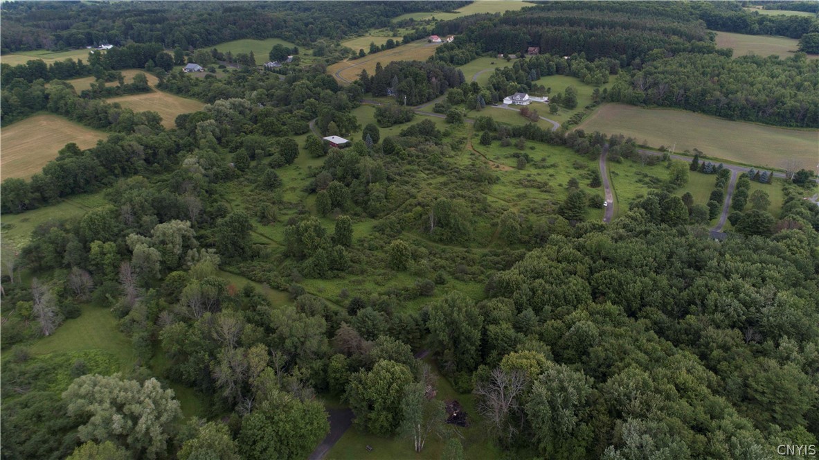 10-acres Pompey Center Road Fabius, NY 13063 - Photo 16 of 17