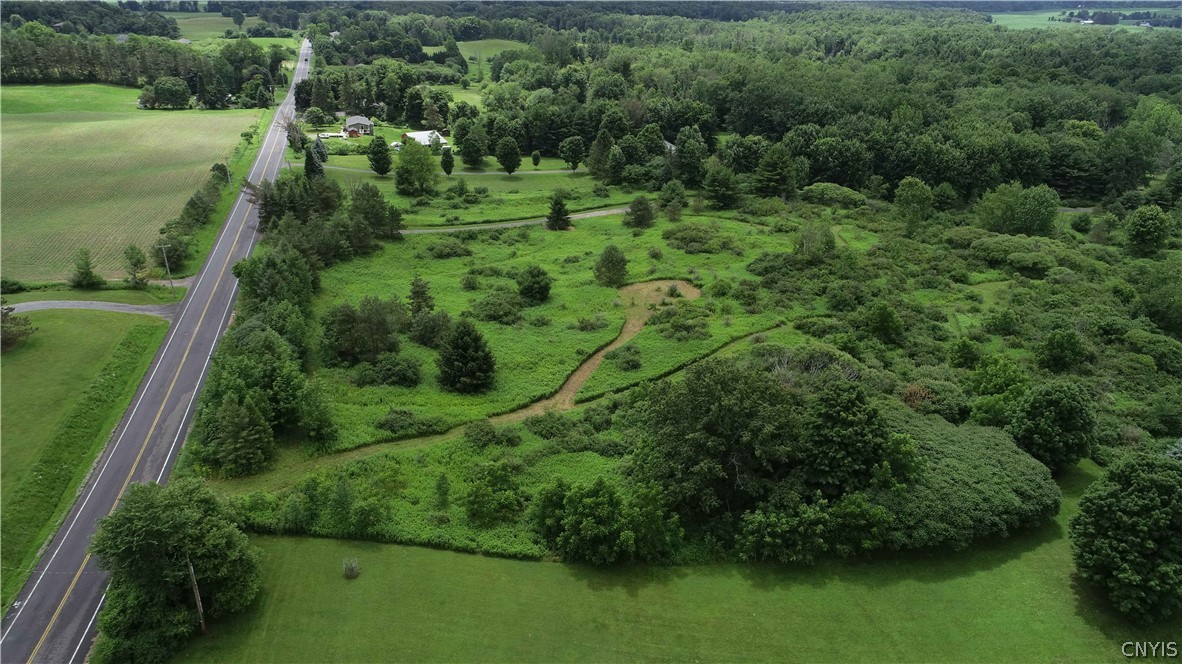10-acres Pompey Center Road Fabius, NY 13063 - Photo 17 of 17